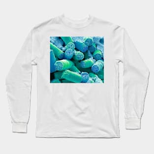 Soil diatoms, SEM, (C054/5526) Long Sleeve T-Shirt